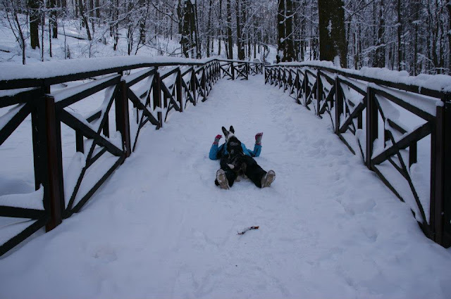 jak przygotować psa do wyjazdu w góry, góry z psem, podróże z psem